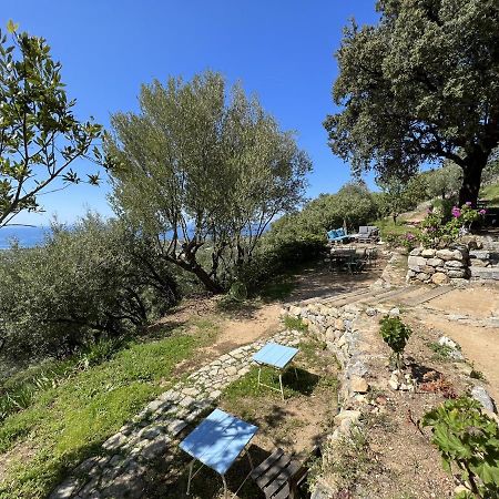 Отель Casa Musicale Pigna Экстерьер фото